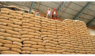Indian & Brazilian Sugar – ICUMSA 45, 100 & Raw Sugar for Export