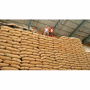 Indian & Brazilian Sugar – ICUMSA 45, 100 & Raw Sugar for Export