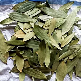 bay leaves (tej patta)