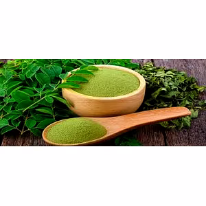 Winstar Export Quality Moringa Powder | 100% Natural & Nutrient-Rich