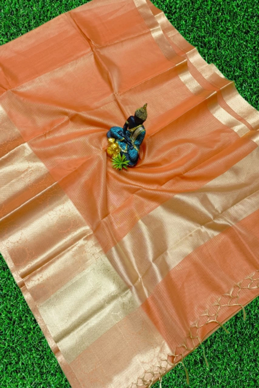 Banarasi Tissue Silk Saree-4