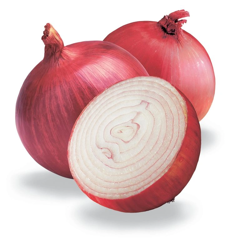 Nasik Onions-2