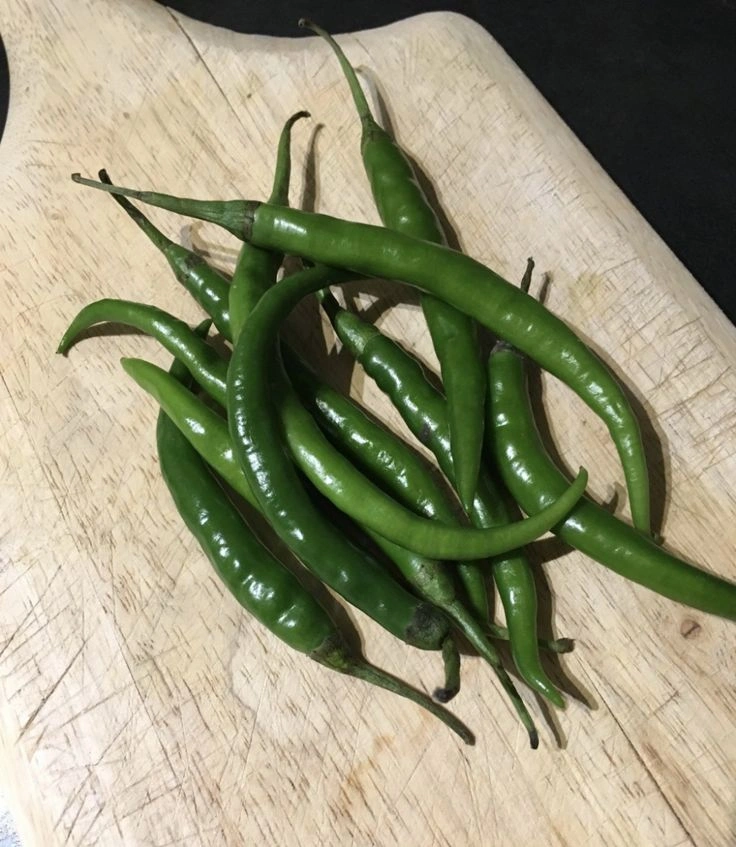 indian green chilli-12572368