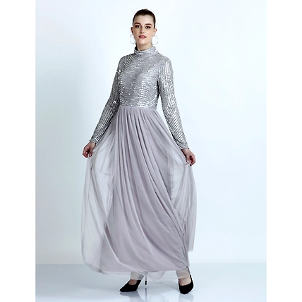 HBES-13 Silver-12672629