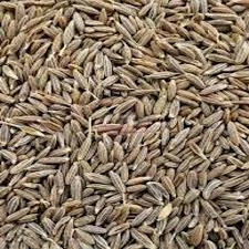 cumin seed (Jeera)-2