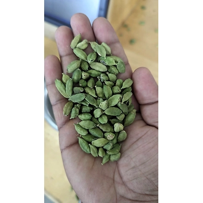 Green cardamom 7-8 mm
