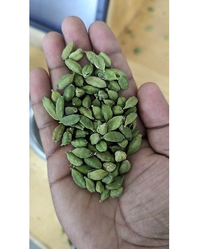 Green cardamom 7-8 mm-2