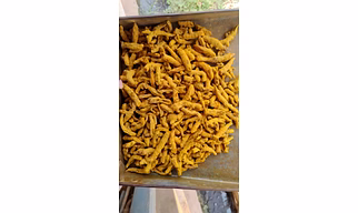 Turmeric finger
