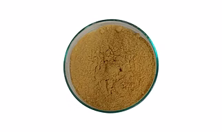 Amchur Powder ( Gold )