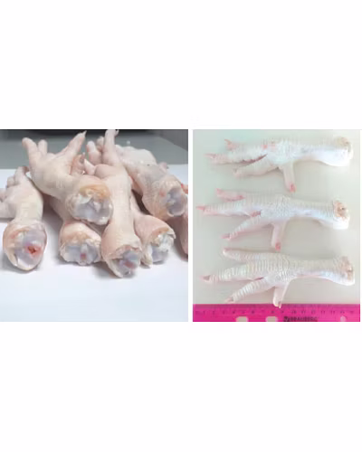 Frozen Chicken Feet (Grade A)-3
