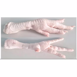 frozen chicken feet (grade a)