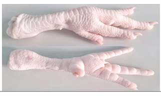 Frozen Chicken Feet (Grade A)