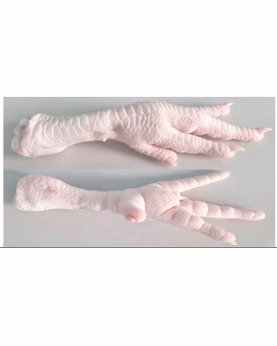 Frozen Chicken Feet (Grade A)-12752435