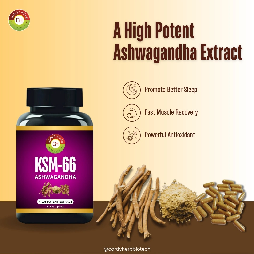 CORDY HERB Ashwagandha KSM-66 (500 mg) | Extra Strength | Support strength &amp; energy | Helps in Stress Management | For Men &amp; Women | Withania Somnifera Extract - 30 Vegetarian Capsules-12584620