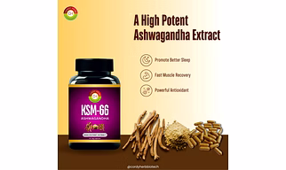 CORDY HERB Ashwagandha KSM-66 (500 mg) | Extra Strength | Support strength & energy | Helps in Stress Management | For Men & Women | Withania Somnifera Extract - 30 Vegetarian Capsules
