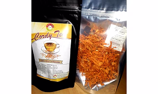 Cordyceps CORDY TEA 50GM