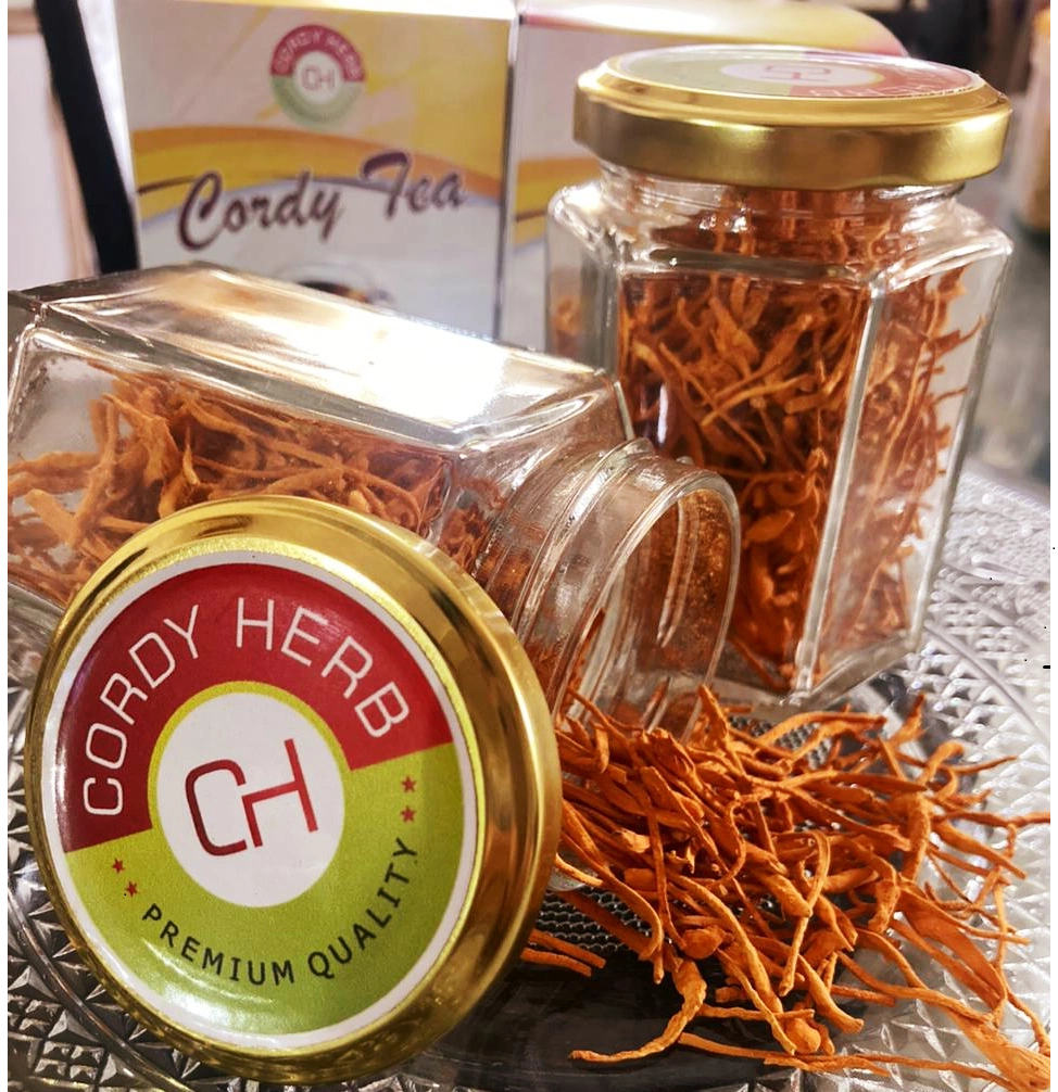 Cordyceps CORDY TEA 50GM-1