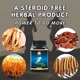 CORDY HERB CORDYIO ATHLETE ENERGY ,STAMINA AND ENDURANCE BOOSTER CAPSULE