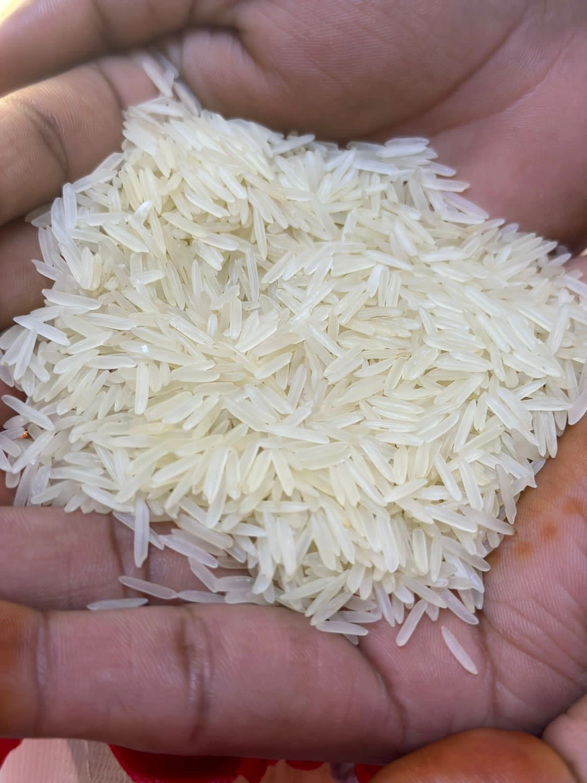 1509 Creamy Sella Basmati Rice-3