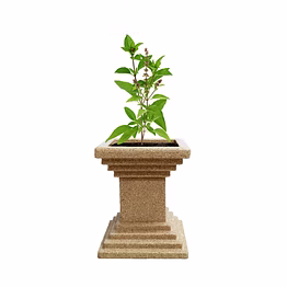 buha roto tulsi planter
