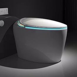 smart toilet seat