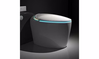 Smart Toilet Seat