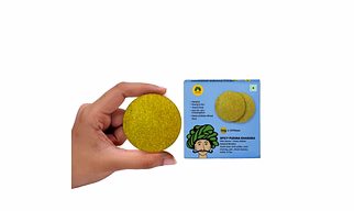 Gulabs tiny spicy pudina khakhra