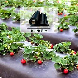 AQUASHAKTI AGRICULUTRE MULCH FILM 1MX400MX25MIC