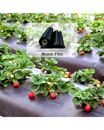 AGRICULUTRE MULCH FILM 1MX400MX25MIC-2