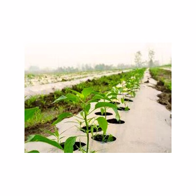 aquashakti agriculture mulch film 1.2m x 400m x 25 mic