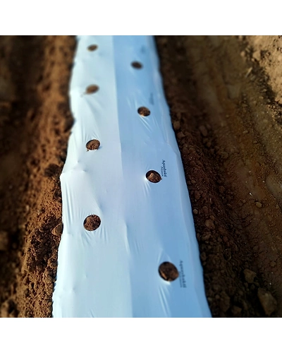 Agriculture Mulch Film 1.2M X 400M X 25 MIC-12599630