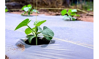 AGRICULUTRE MULCH FILM 1MX400MX25MIC