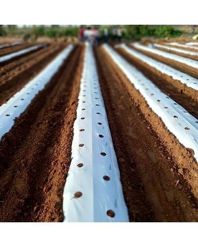 AGRICULUTRE MULCH FILM 1MX400MX25MIC-1