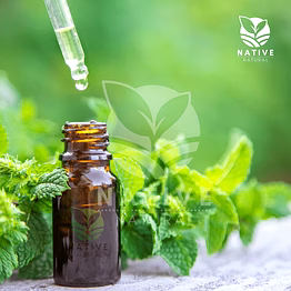 spearmint essential oil