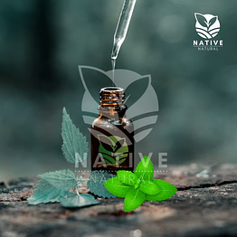 mentha citrata essential oil