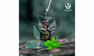Mentha Citrata Essential Oil