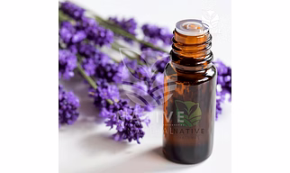 Lavender Essential Oil