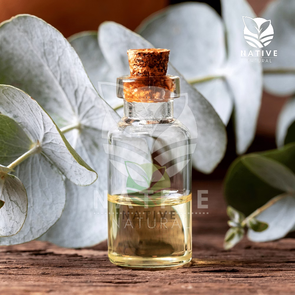 Eucalyptus Essential Oil image 1