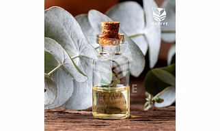 Eucalyptus Essential Oil