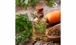 Carrot Seed Essential Oil