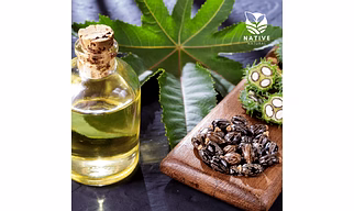 Black Castor Oil