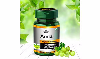 Amla Capsule 60's