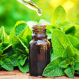 ryan peppermint oil