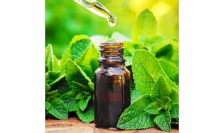 Peppermint Oil