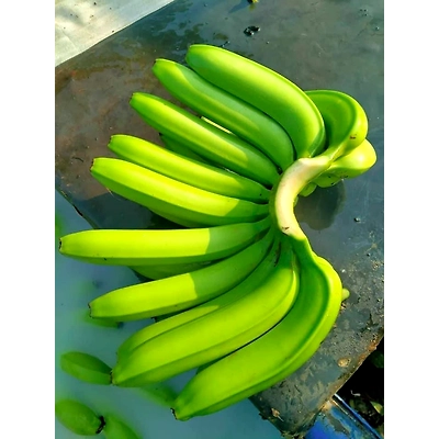 Bananas - Premium Fresh and Sweet from KSK Exim-3
