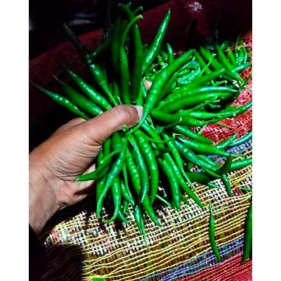 Green Chillies - Premium Quality Fresh and Spicy-1