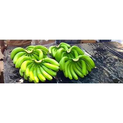 Bananas - Premium Fresh and Sweet from KSK Exim-1