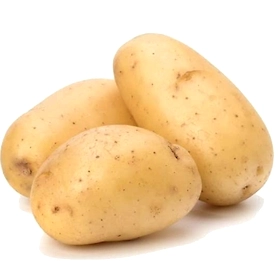 Potato