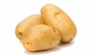Potato