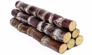 Sugarcane